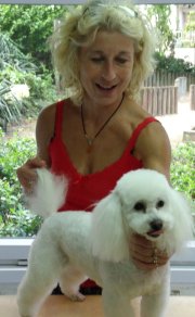 Toilettage chiens cabanocabo saint gratien pontoise